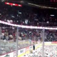Hockey Fans Bombard Rink With 25,003 Stuffed Animals
